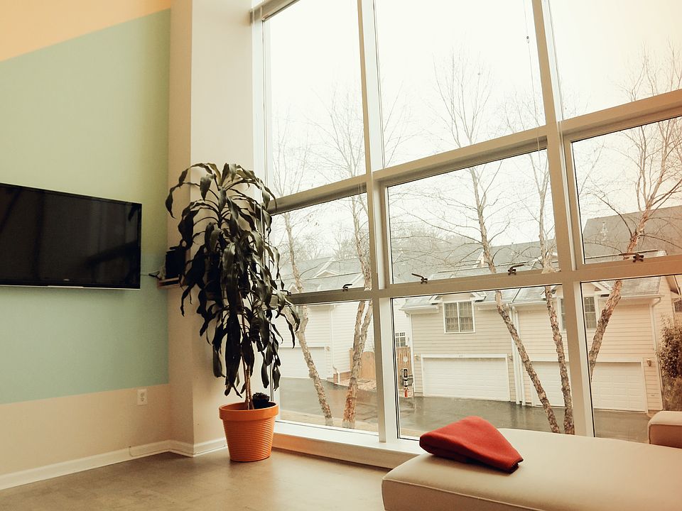 view from living room