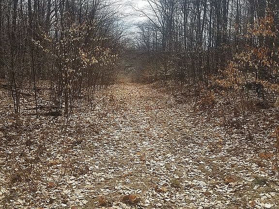 3rd image of Pinedale Dr
