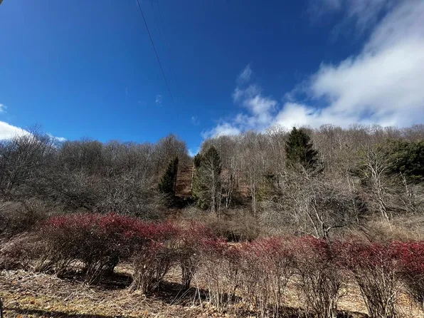 383 S Dry Run Rd, Coudersport, PA 16915