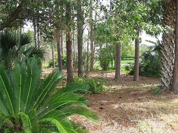 4th image of 11244 Brooklawn Dr