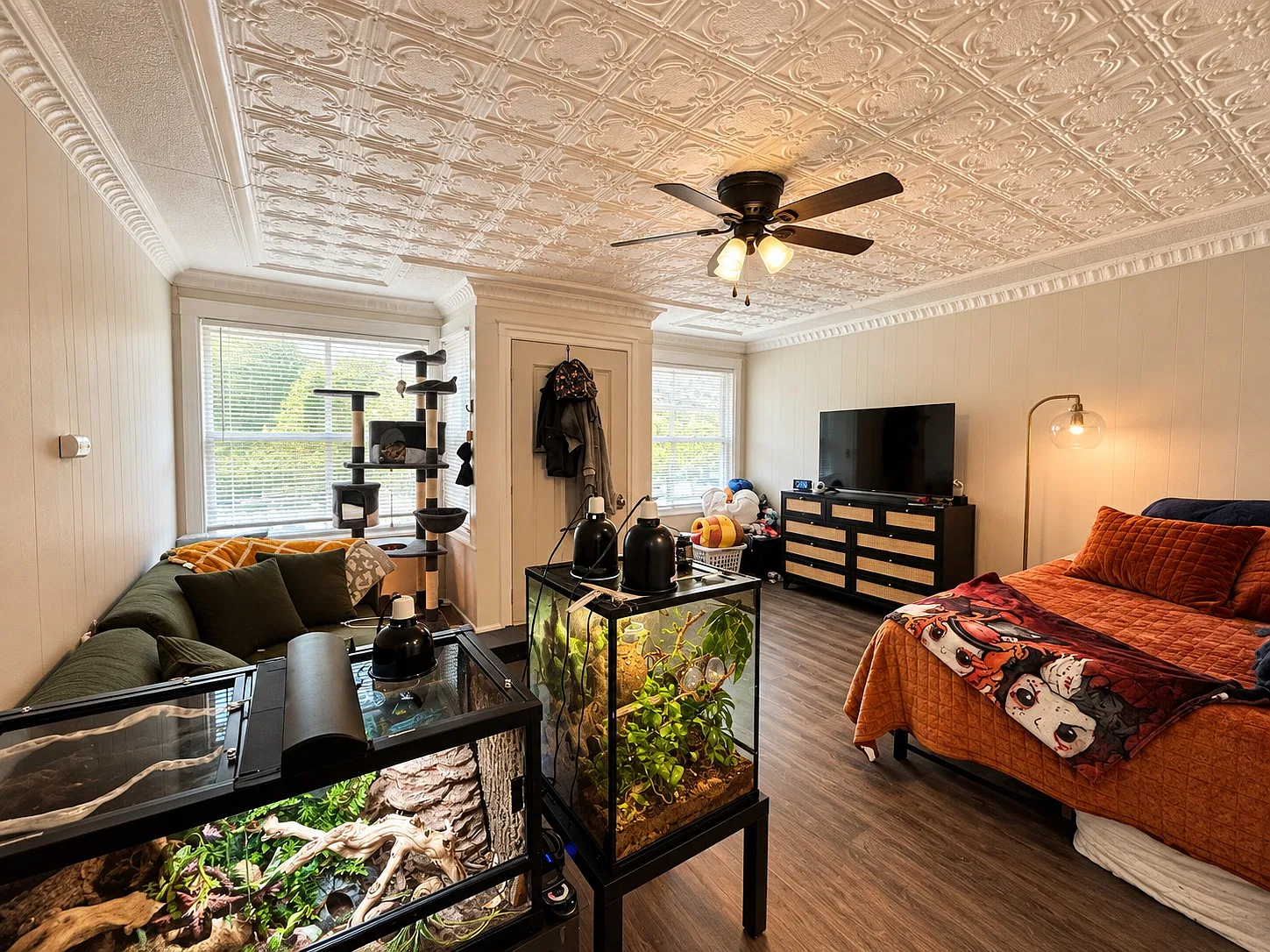 Studio, 385 sqft, $975 — Photo 4