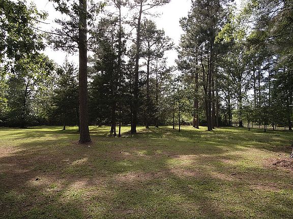 View from back porch