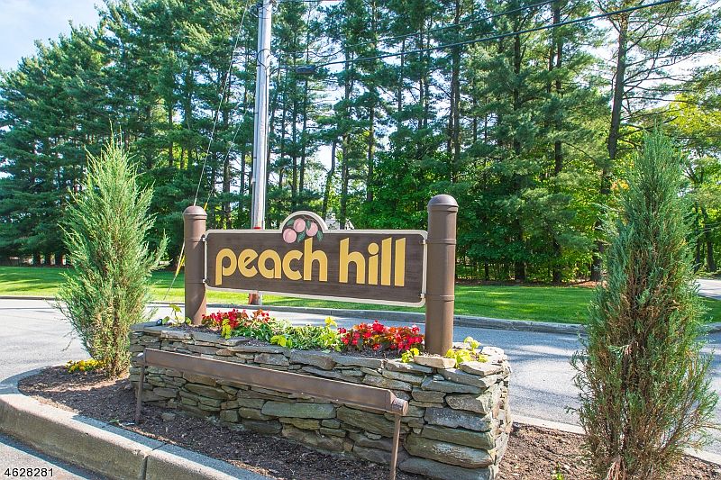 1st image of 15 N PEACH HILL CT