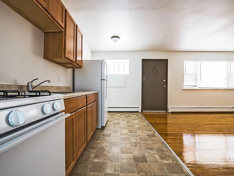 8751 S Cottage Grove Chicago, IL 60619 — Photo 19