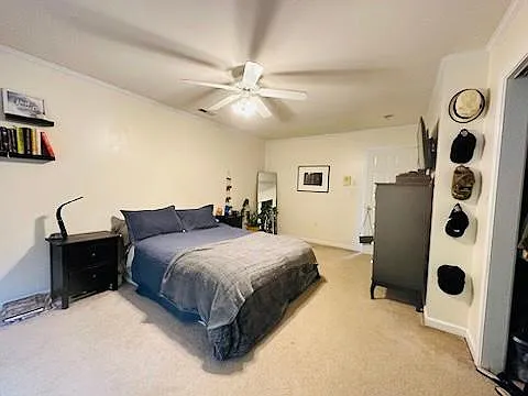 Building Photo - 3383 Whitney Ave #C-A