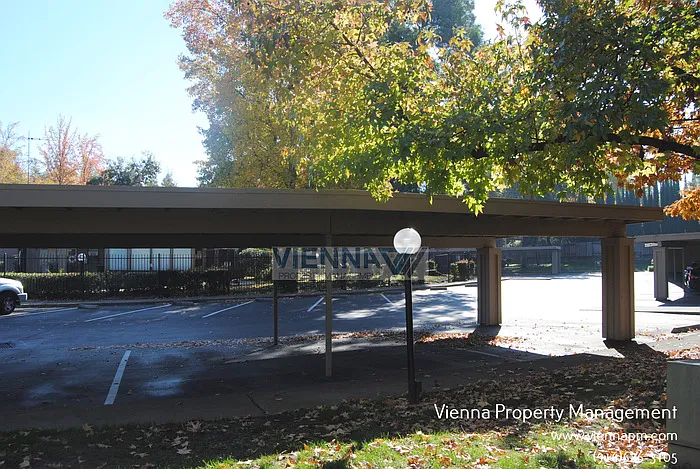 5333 Primrose Dr #31A — Photo 23