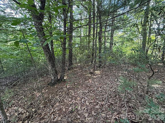 5th image of Rich Pine Dr #119