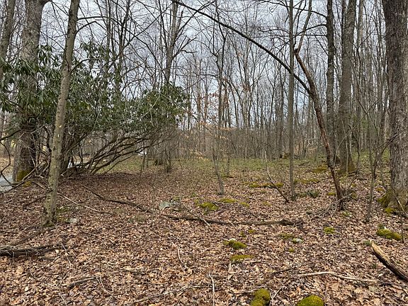 5th image of Sugar Camp Rd