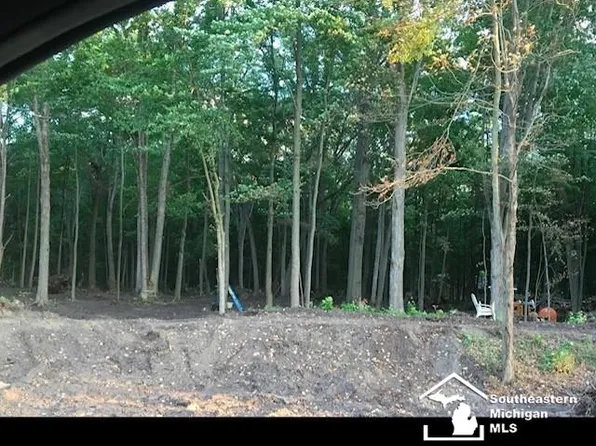 11663 Stewart Rd, Dundee, MI 48131