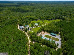 2559 Tar Cup Rd, Abbeville, GA 31001