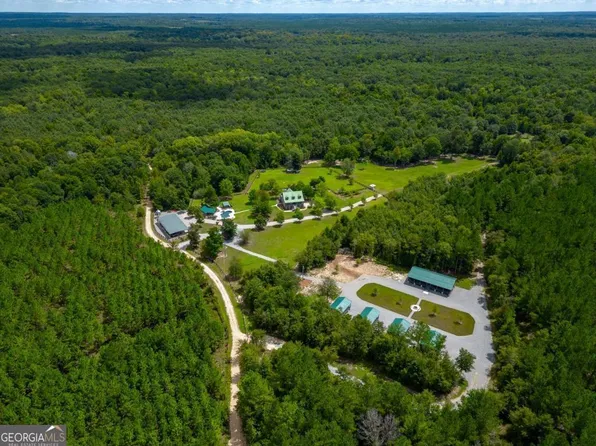 2559 Tar Cup Rd, Abbeville, GA 31001