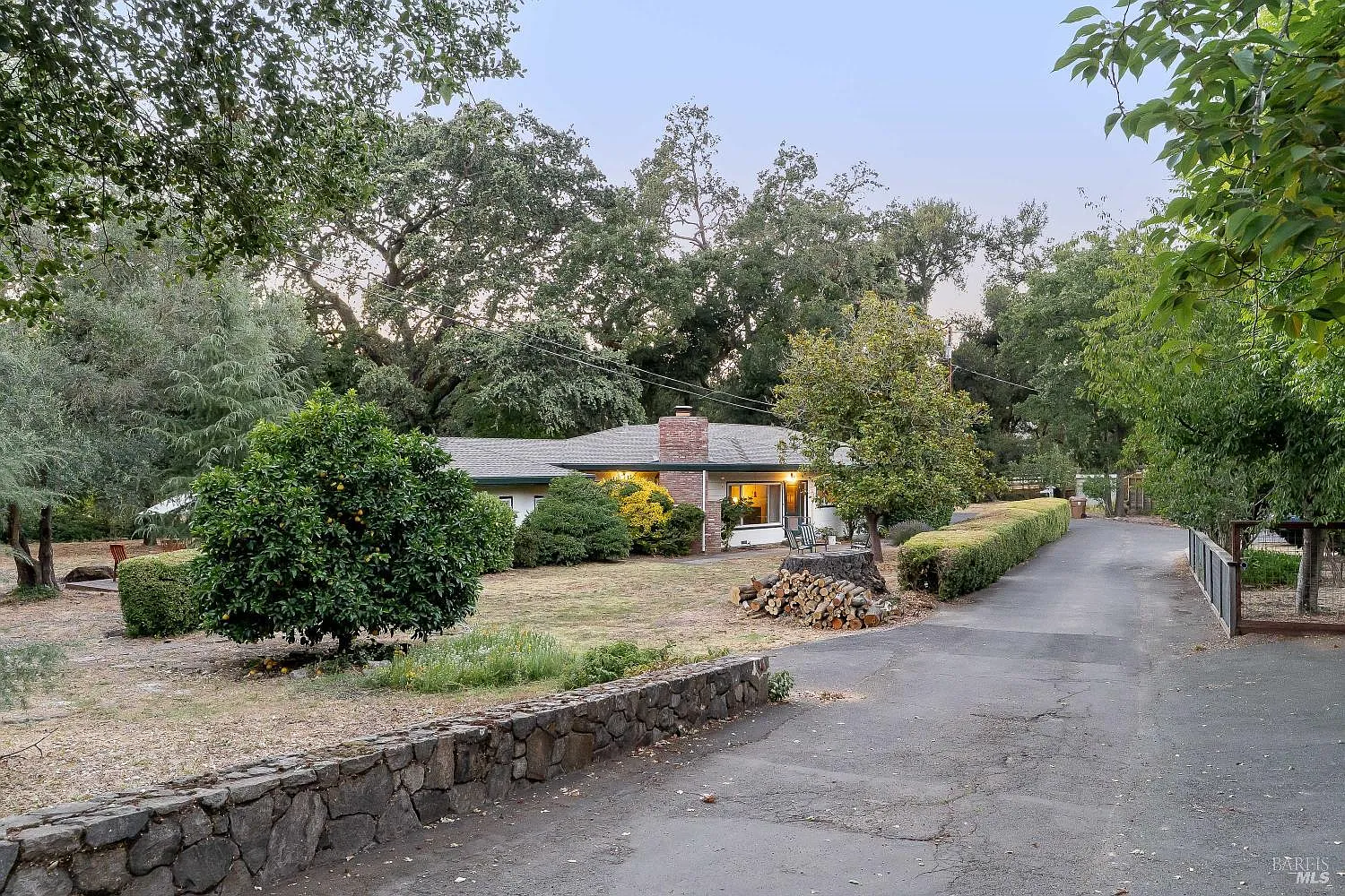 1051 Fabiola Drive - Photo 3