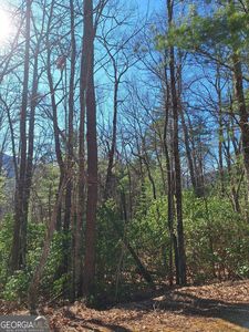 10 Moon Shadow Vw N, Blairsville, GA, 30512