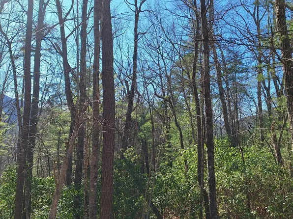 10 Moon Shadow Vw N, Blairsville, GA 30512