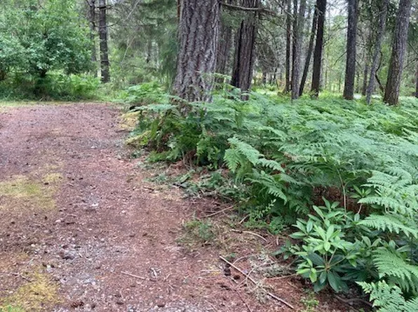 40 N Silver Lane, Hoodsport, WA 98548