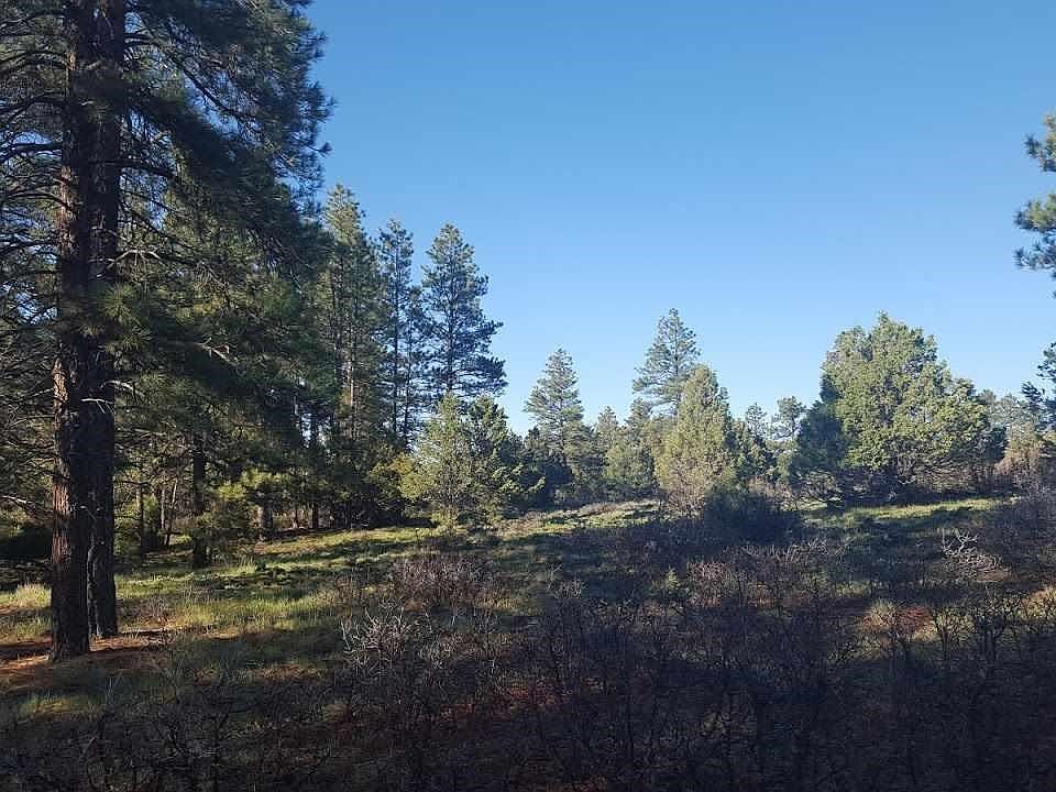 1st image of 12686 Road 40.5