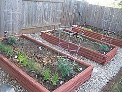backyard, garden boxes