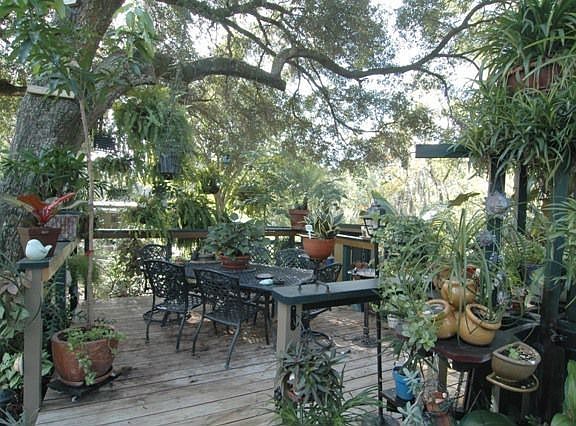 5th image of 3924 Alafia Blvd