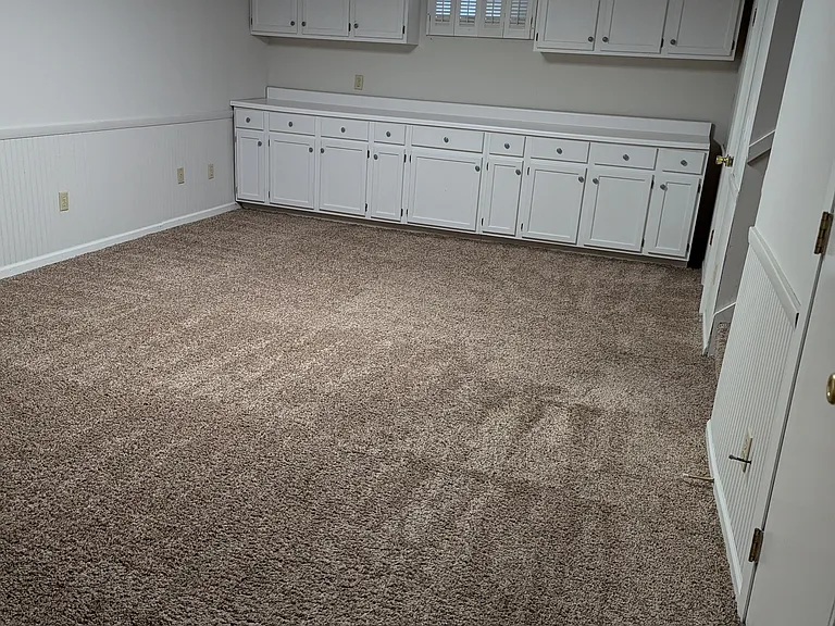 Lower level - family room