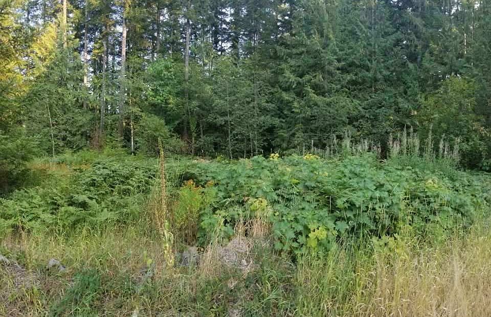 2nd image of 0 SE Highway 26
