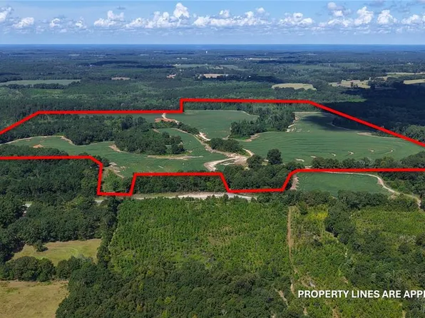 31027 US HIGHWAY 331, OPP, AL 36467