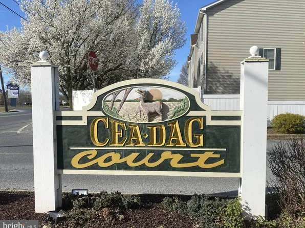 28357 Hocker Ln Unit 1403, Dagsboro, DE 19939