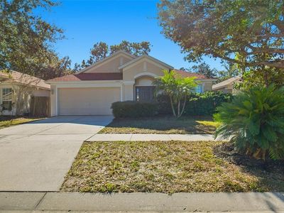 10407 Paragon Pl, Riverview, FL, 33578