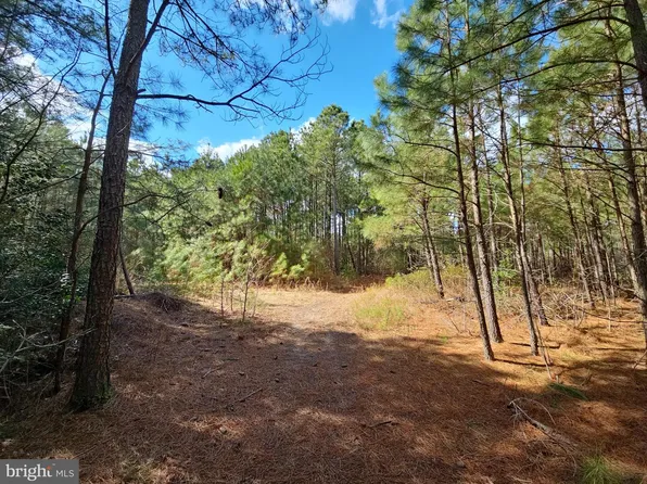 Romancoke Rd, Stevensville, MD 21666