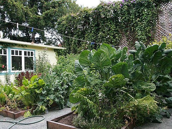 back yard and studio garage