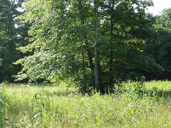 2nd image of 580 Pleasant Hill Cemetery Ln