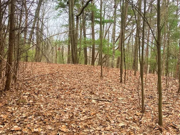 LOT 7 Brushy Top Rd, Chatsworth, GA 30705