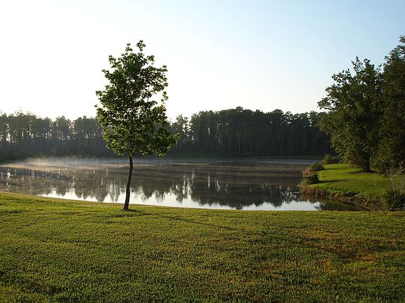 back yard & view from the back porch