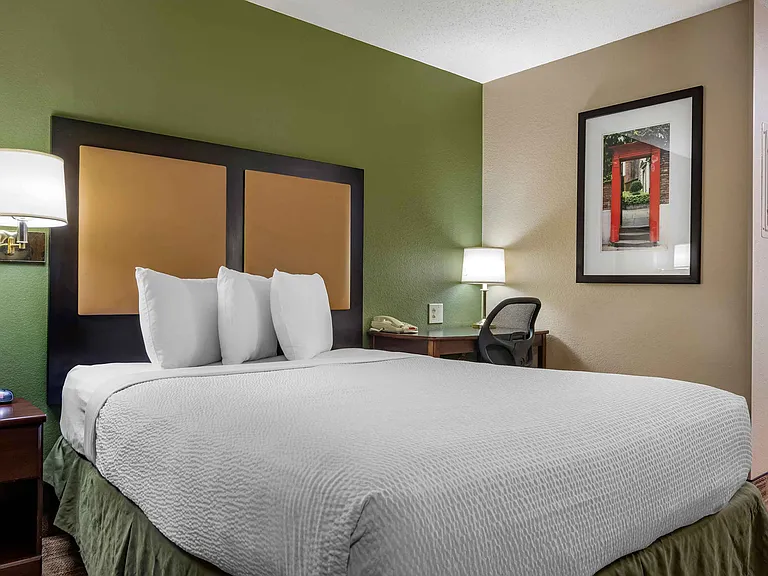 Studio Suite - 1 Queen Bed