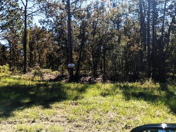 7781 SW 121st Ter Lot 3, Dunnellon, FL 34432