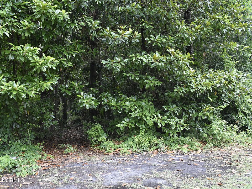 2nd image of Lot 41 N Graham Street