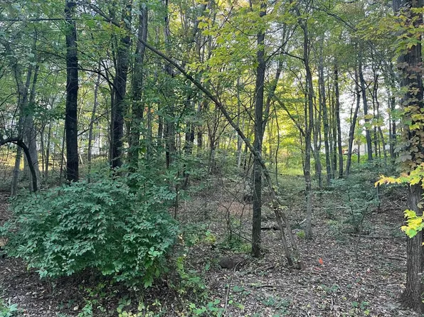 L99 Nevar Drive #99, Wisconsin Dells, WI 53965