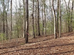 Shade Tree Ln, Mineral Bluff, GA 30559