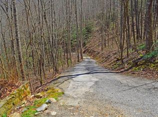 317 Gizzy Dr LOT 5-D3, Sylva, NC 28779