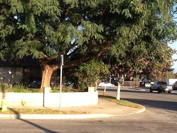 4th image of 1956 Pelican Ave