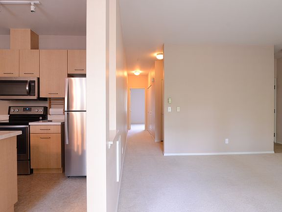 Living room and kitchen
