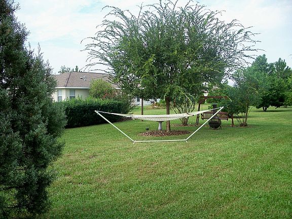 Back Yard View