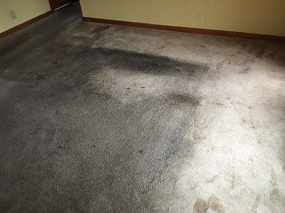 3rd image of 2634 Scott St