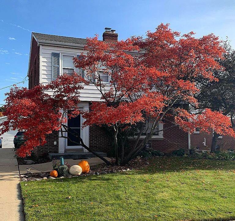1st image of 8804 Ravenswood Cir