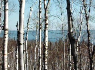 4291 Highway 61 N, Beaver Bay, MN 55601