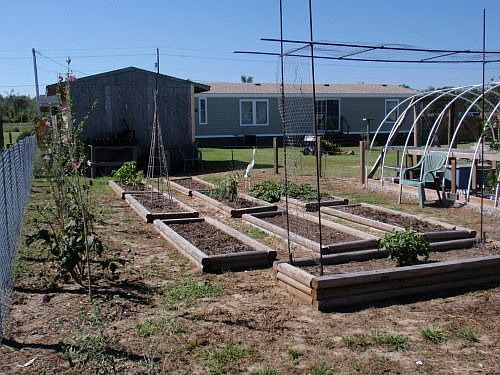 Raised Beds, Grn Hse & storage shed