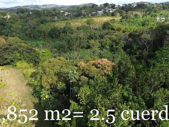 6 Miradero, Mayaguez, PR 00680