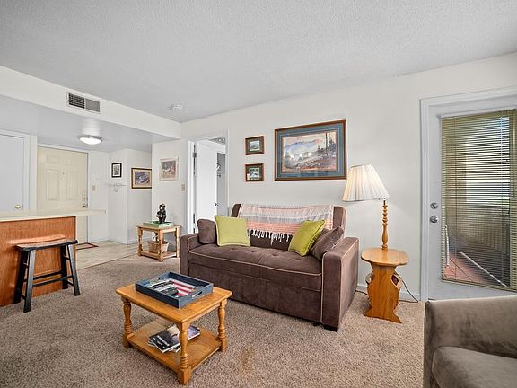 5th image of 1380 Ski View Dr #3201