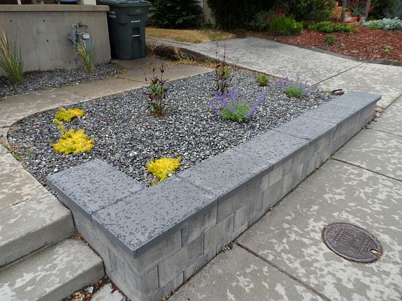 East Xeriscape front garden