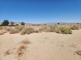 1420 E Antelope St, Silver Springs, NV