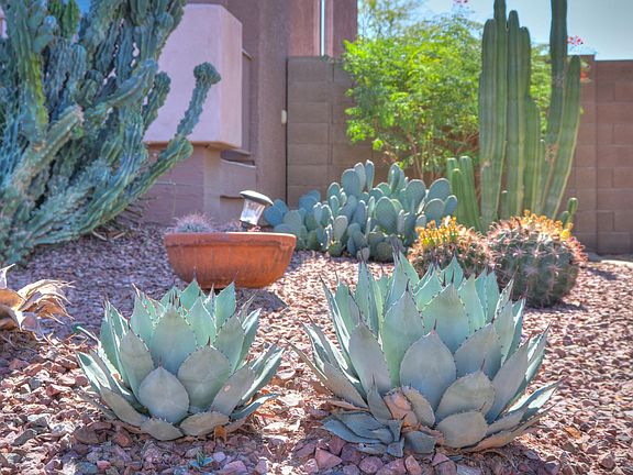 Beautiful, mature landscaping
